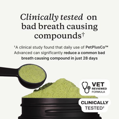 PetPlusCo™ Dental Powder