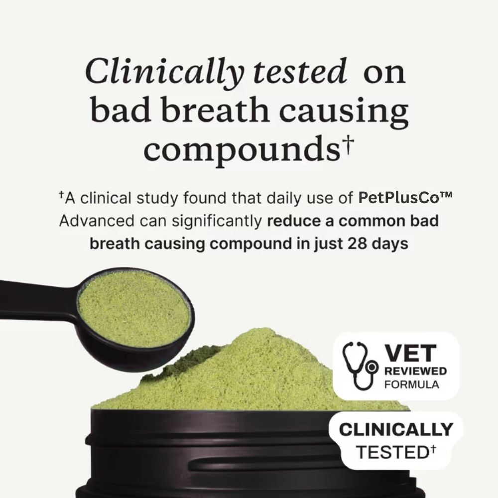 PetPlusCo™ Dental Powder