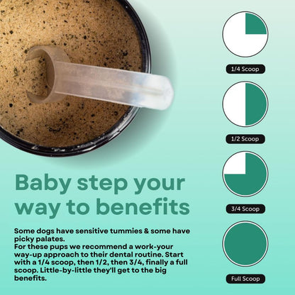 PetPlusCo™ Dental Powder